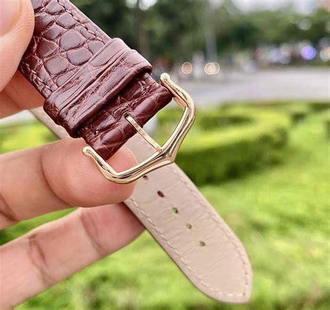 tang buckle clasp